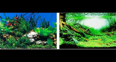 Ferplast aquarium achterwand blu 9040 80 x 40
