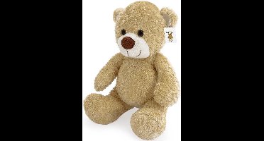 Teddybeer, Valentijnsdag, knuffelbeer, teddy, 23 cm