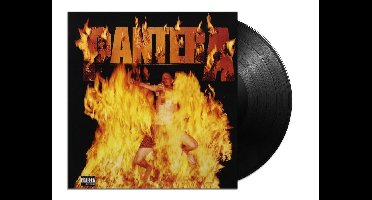 Reinventing The Steel (Vinyl) (LP)