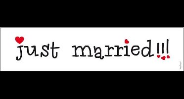 Nummerbord Just Married