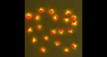 Paddenstoel Lichtsnoer van Kikkerland