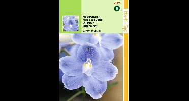 2 stuks - Hortitops - Delphinium Grandiflorum Summer Blues