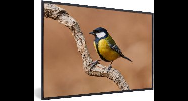 PosterMonkey - Poster - Fotolijst - Koolmees - Vogel - Takken - 30x20 cm - Poster natuur - Poster vogels - Foto in lijst - Poster frame