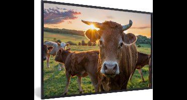 PosterMonkey - Poster - Fotolijst - Koeien - Zonsondergang - Natuur - Dieren - Koe - Kader - 90x60 cm - Poster koe - Foto lijst - Poster in lijst - Poster natuur