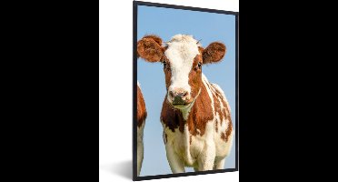 PosterMonkey - Fotolijst - Koeien - Koe - Dieren - Natuur - Kalfjes - Poster - Frame - 20x30 cm - Posterlijst - Foto lijst - Poster koe - Poster met kader