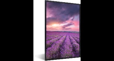 PosterMonkey - Poster - Fotolijst - Bloemen - Lavendel - Zon - Wolken - Paars - 80x120 cm - Frame - Poster kader - Foto met lijst - Poster natuur - Poster lavendel