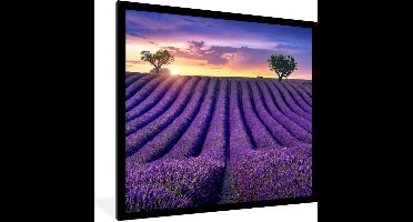 PosterMonkey - Poster - Fotolijst - Bloemen - Zonsondergang - Lavendel - Landschap - Bomen - Poster met frame - 40x40 cm - Kader - Posterlijst - Foto in lijst - Poster natuur - Poster lavendel