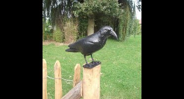 Lifetime Vogelverschrikker set - kunststof kraai - weerbestendig - 3 stuks - zwart