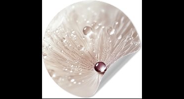 WallCircle® - Behangcirkel 30x30 cm - Muurstickers Bloem - Abstract - Wit - Water - Natuur - Muurcirkel woonkamer - Wandcirkel slaapkamer - Kamer decoratie zelfklevend - Muurdecoratie accessoires