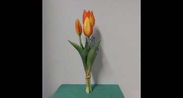 Nova Nature Holland tulp bundel Sally x3 25cm oranje