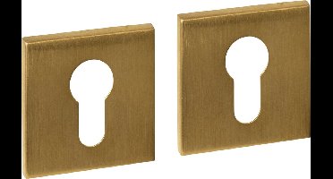 Intersteel Cilinderrozetten verdekt 53x53x6mm PVD messing mat