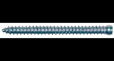 fischer Kozijnschroef FFSZ – 7,5 x 102 mm – Cilinderkop TX30 – Plugvrije montage – 100 stuks