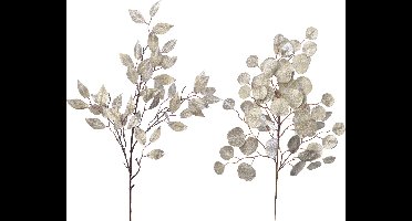 Spray plc l40b1.2h72cm chmpgn a2Everlands