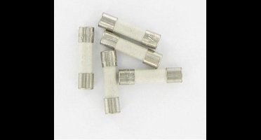 Kopp as zekeringen 10 A glas snel 5 x 20 mm - 5 stuks