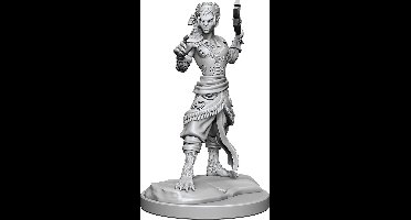 D&D Nolzur's Marvelous Miniatures Shifter Fighter