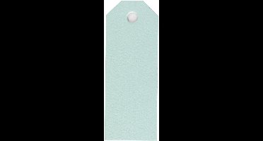 Manilla-labels, afm 3x8 cm, 220 gr, lichtblauw, 20 stuk/ 1 doos