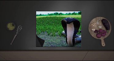 Inductie Beschermer - Aanvallende Zwarte Cobra Slang bij Groenkleurig Grasveld - 60x52 cm - 2 mm Dik - Inductieplaat Beschermer met zwarte kern