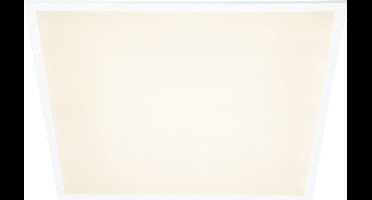 ProLong LED Paneel 60 x 60 cm - Vierkant - 4000K wit licht - 40W - 4000 lm