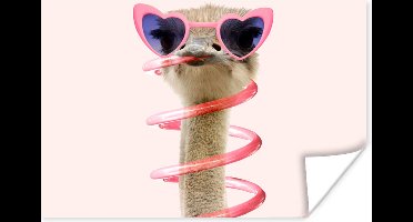 Poster struisvogel - Fotoposter - Struisvogel - Zonnebril - Roze - Dieren - 30x20 cm - Muurposter - Wanddecoratie