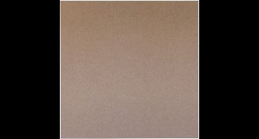 Akoestisch wandpaneel PET-vilt - 100x100 cm - Taupe
