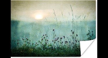 Posters vintage - Bloemen - Zon - Botanisch - Natuur - Muurposter - 30x20 cm - Poster - Wanddecoratie