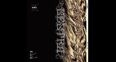 Various Artists - Vasstr01 - Vol 2 (Sylvie Maziarz) (LP)