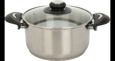 Excellent Houseware Kookpan met deksel - RVS/glas - 2.7L - D20 x H10.5 cm - alle warmtebronnen