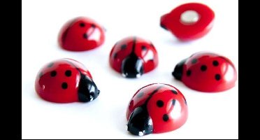 Trendform magneten lieveheersbeestje