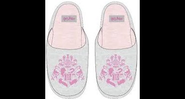 Slippers / Slippers From Harry Potter Size 30/31
