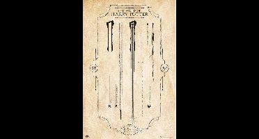 Poster Harry Potter - The Wand 61x91,5cm