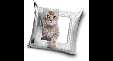 De kat met witte schilderij - Sierkussen Kussen 40 x 40 cm inclusief vulling