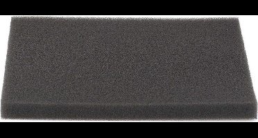 Philips Schuimfilter Crp494/01