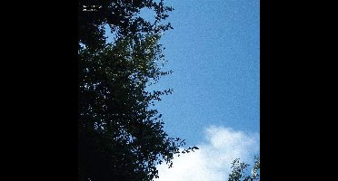Cloud Nothings - Turning On (LP) (10th Anniversary Edition) (Limited Edition) (Coloured Vinyl)