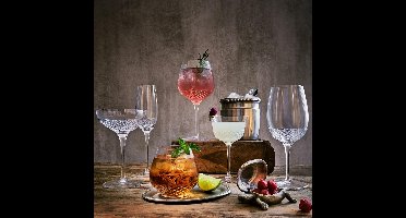 Luigi Bormioli Roma 1960 - Cocktailglas - 55cl - 6 stuks