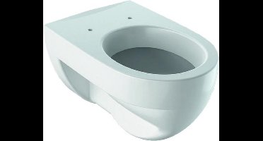 Geberit 300 Basic Wandcloset 12 Vlakspoel 54Cm Wit