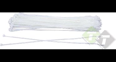 Kabelbinders Wit 2,5 x 100 mm, Tiewraps, Tieraps, 100 delig
