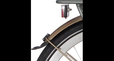 Alpina Spatbord achter 26 Curve matt gold