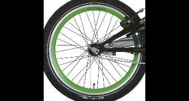 Alpina achterwiel 20 remnaaf J19DB groen zwarte spk