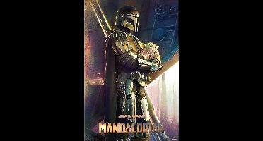 Mandalorian poster - Star Wars -premiejager -the child - Yoda - 61 x 91.5 cm