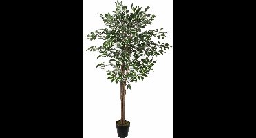 Mica Decorations Ficus Kunstplant - H165 x Ø65 cm - Groen Bont