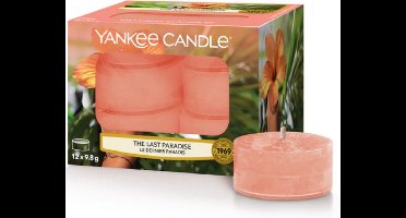Yankee Candle The Last Paradise - Tea Lights