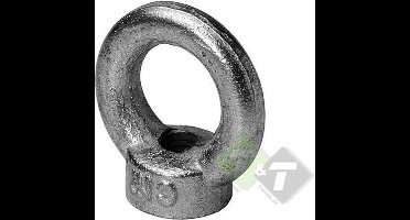 m12 oogmoer wll last 340kg - schroefoog - ringschroef - trekoog - schroefbare hijsoog - lastoog - bindoog schroefbaar