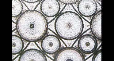 Raamfolie statisch-anti inkijk-90cmx20mtr. circles