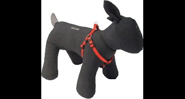 Boon Boon Dog fashion BH-tuig nylon 10 mm x H25-B35 cm, rood.