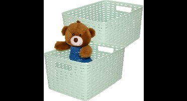 Plasticforte Opbergmand - 2x - Kastmand - rotan kunststof - mintgroen - 10 Liter - 22 x 33 x 16 cm