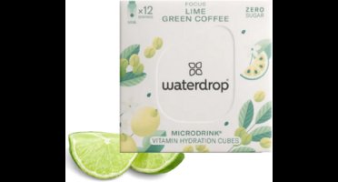 Waterdrop Microdrink Hydratatieblokjes Focus - 12 stuks