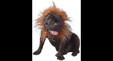 Vegaoo - Leeuwenkostuum voor hond