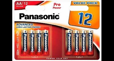 PANASONIC PRO POWER AA 12