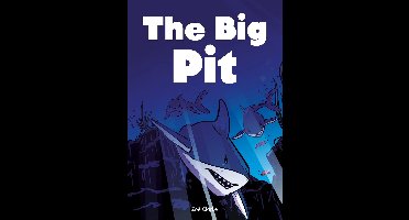 Striders Phonics Readers-The Big Pit (Set 03)