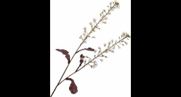 Silk-ka Kunstbloem-Zijden Bloem Primula Tak Crème 85 cm